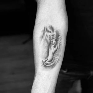 Ink Boy Tattoo
