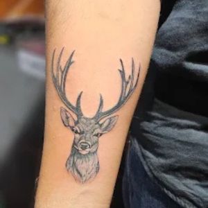 The Tattoo Universe