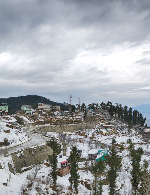 Shimla