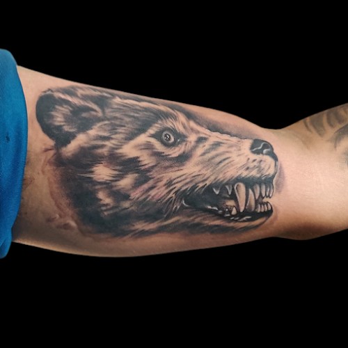 KNOW INK TATTOO STUDIO