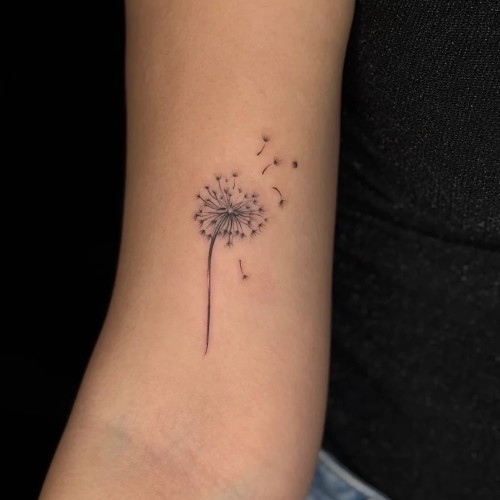 Sea Of Ink Tattoo Studio