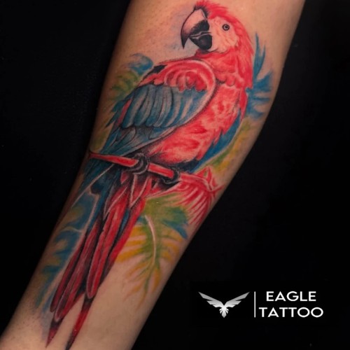 Eagle tattoo pb11