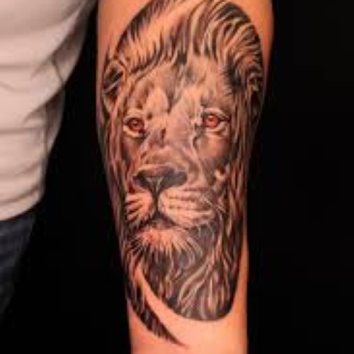 Crazy Ink Tattoo And Body Piercing Studio