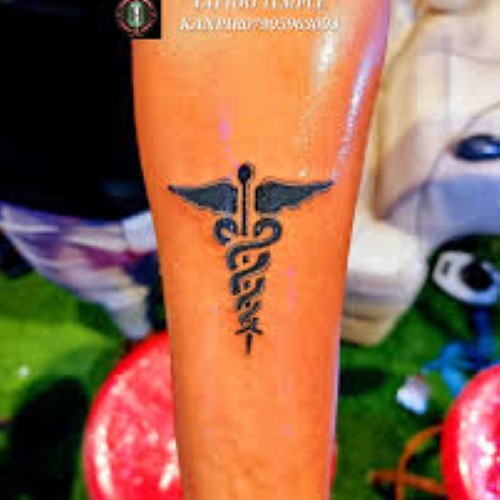 π§ππ§π§π’π’ π§ππ π£ππ