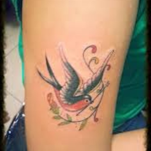 Xtreme Tattoo Studio & Tattoo Removal