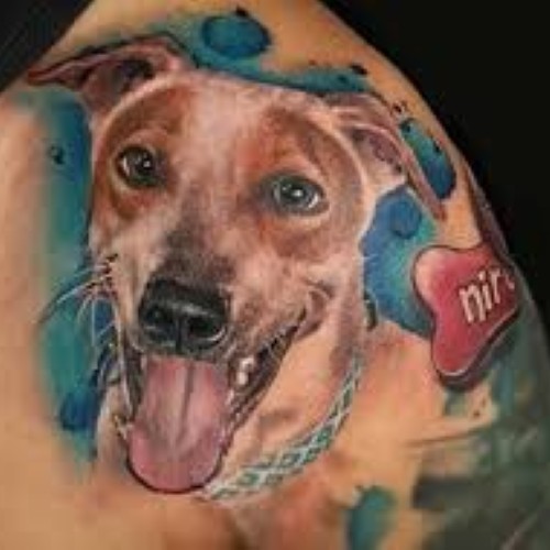 Kraayonz Tattoo and Piercing Studio