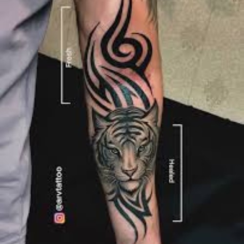 π§ππ§π§π’π’ π§ππ π£ππ